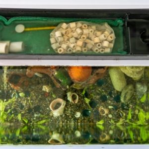 Sponge Aquarium Filter Test: Die 5 Besten im Vergleich