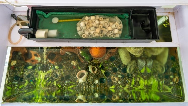 8 cm Ideal für Kleine Runde Aquarien mit Physikalisch Schwammfilter und Biochemischen Filtermaterial aus Tonkugeln boxtech Aquarium Filter 