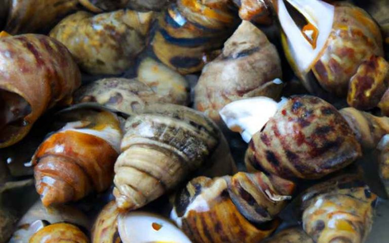 Apfelschnecke im Aquarium Dein ultimativer Guide zur Pflege & Haltung